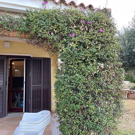 Tavolara Paradise Home Porto San Paolo  Exterior foto