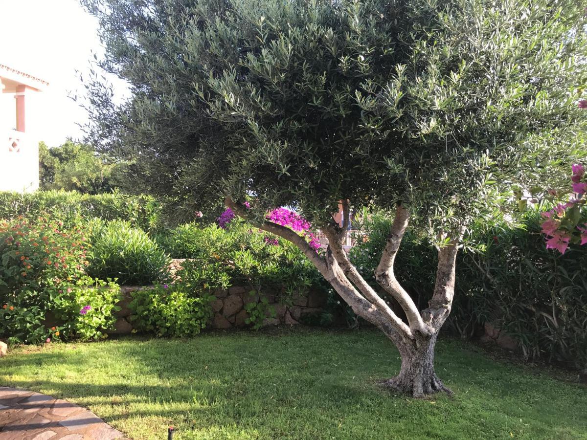 Tavolara Paradise Home Porto San Paolo  Exterior foto